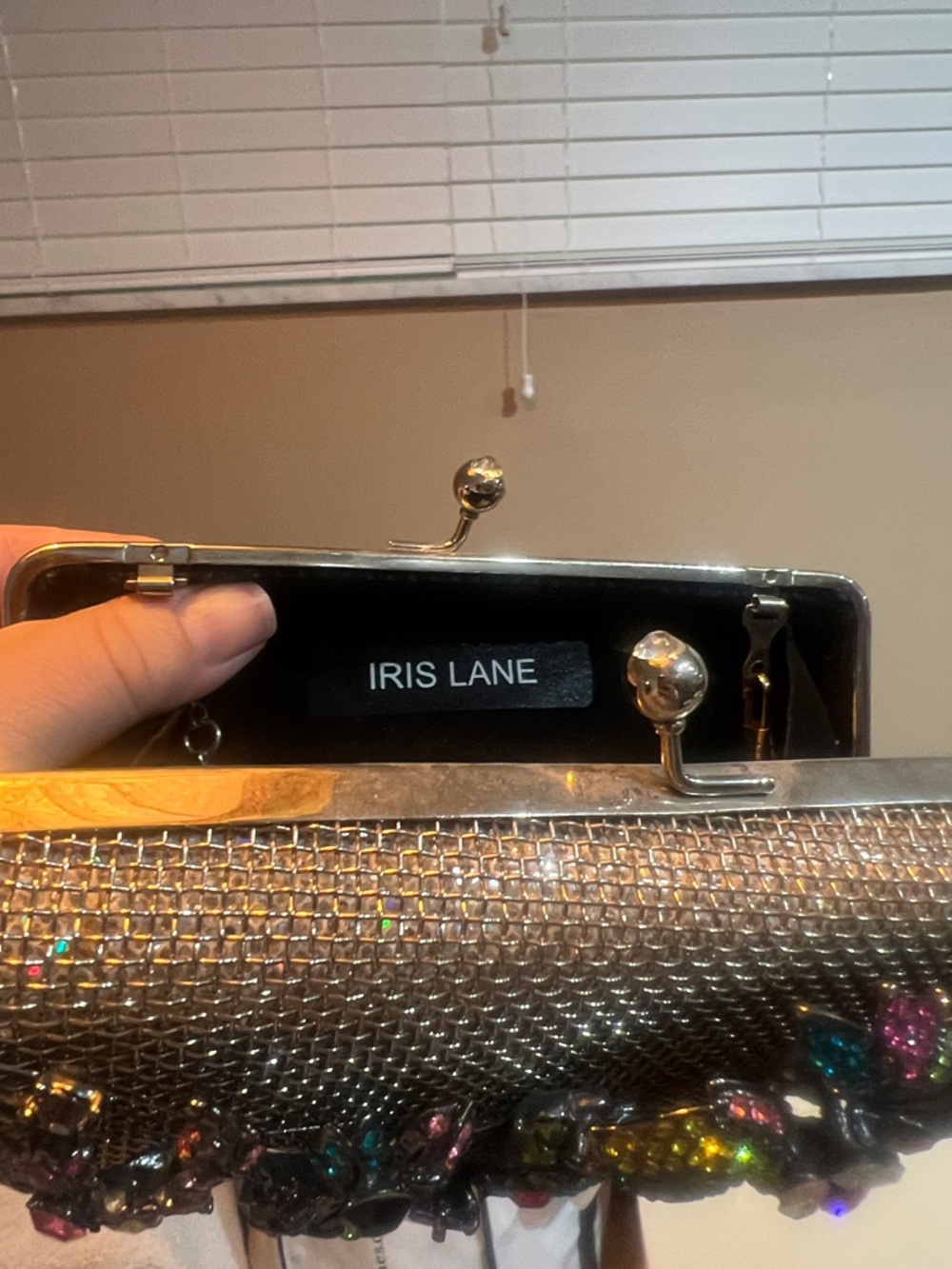 IRIS LANE Iridescent Crystal Mesh Evening Clutch